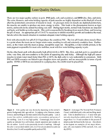 Pork Carcass Evaluation Manual p11